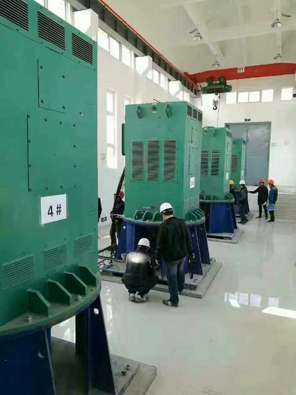 黔东南某污水处理厂使用我厂的立式高压电机安装现场